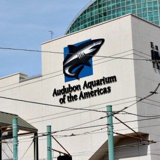 New Orleans Audubon Aquarium of the Americas