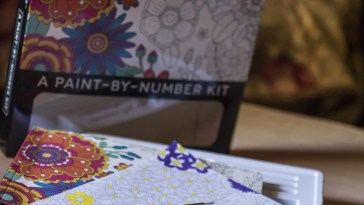 Stress Less Paint-By-Number Flowers Kit