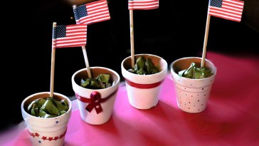 Plant a flag for freedom