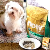 Chloe Petcurean NOWFRESH